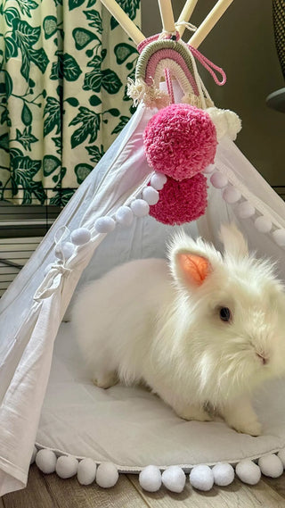 Bubble gum pink pom-poms styled as vibrant teepee toppers