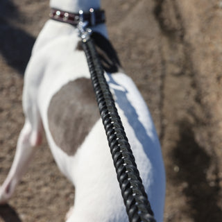 Genuine Braided Leather Dog Leash – Black – Handcrafted Strong and Flexible Leather Lead for Medium and Large Dogs
