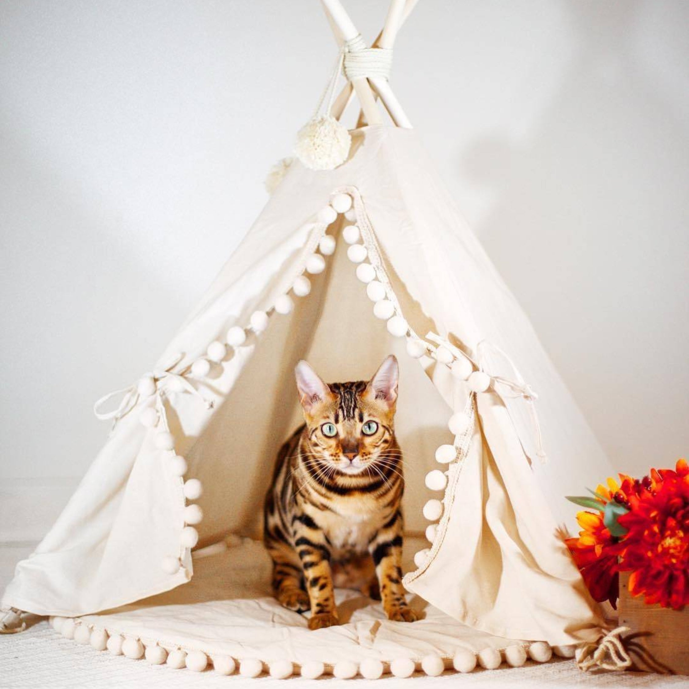 mini tents for cats MINICAMP Cat Teepee & Small Dog Tent in Ecru with Pompoms – Size S