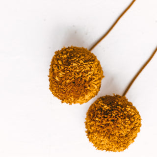 Pom Pom Teepee Tent Toppers - Decorative PomPoms |Colour: Mustard