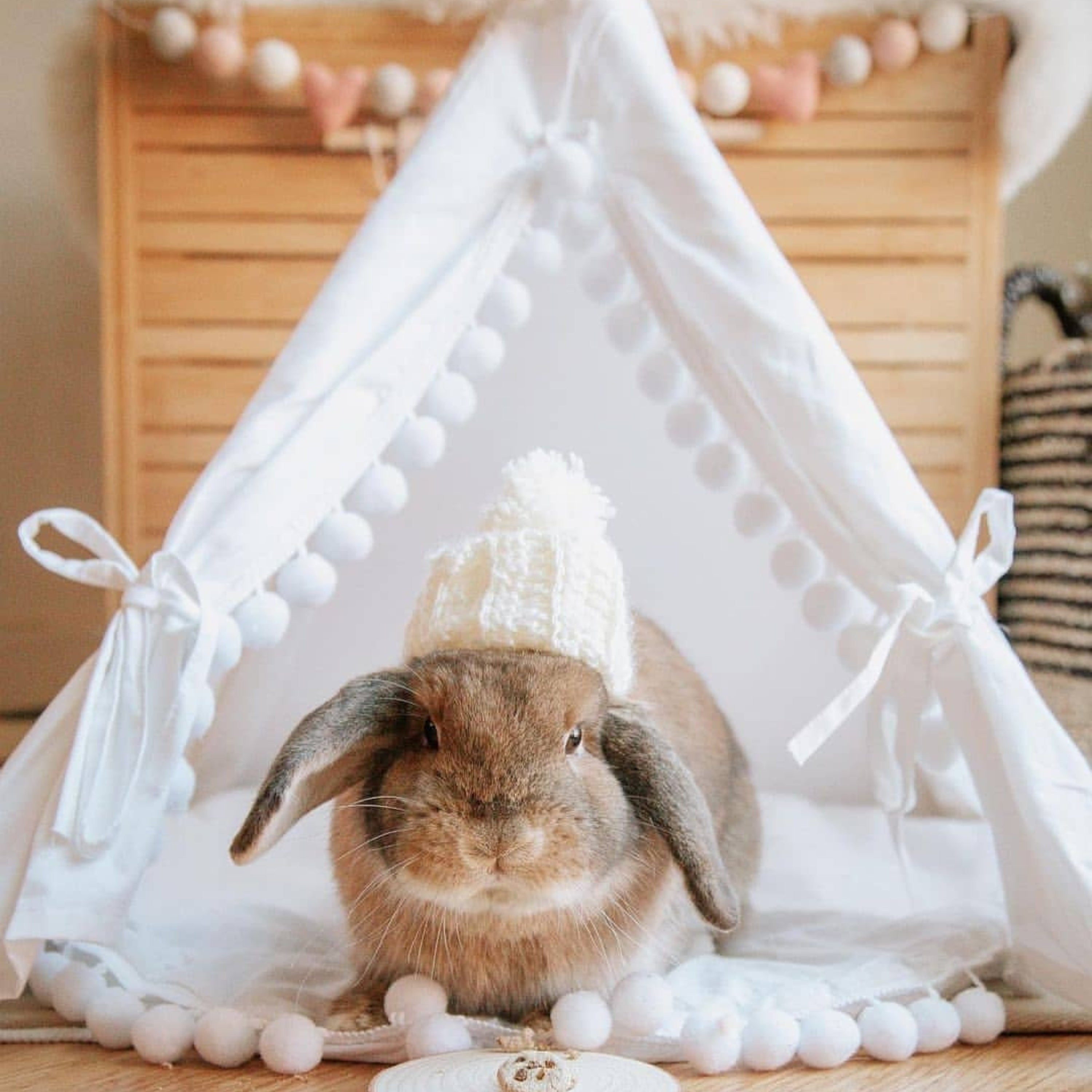 rabbit tent MINICAMP Rabbit Teepee, Bunny Bed in White with Pompoms – Size XS