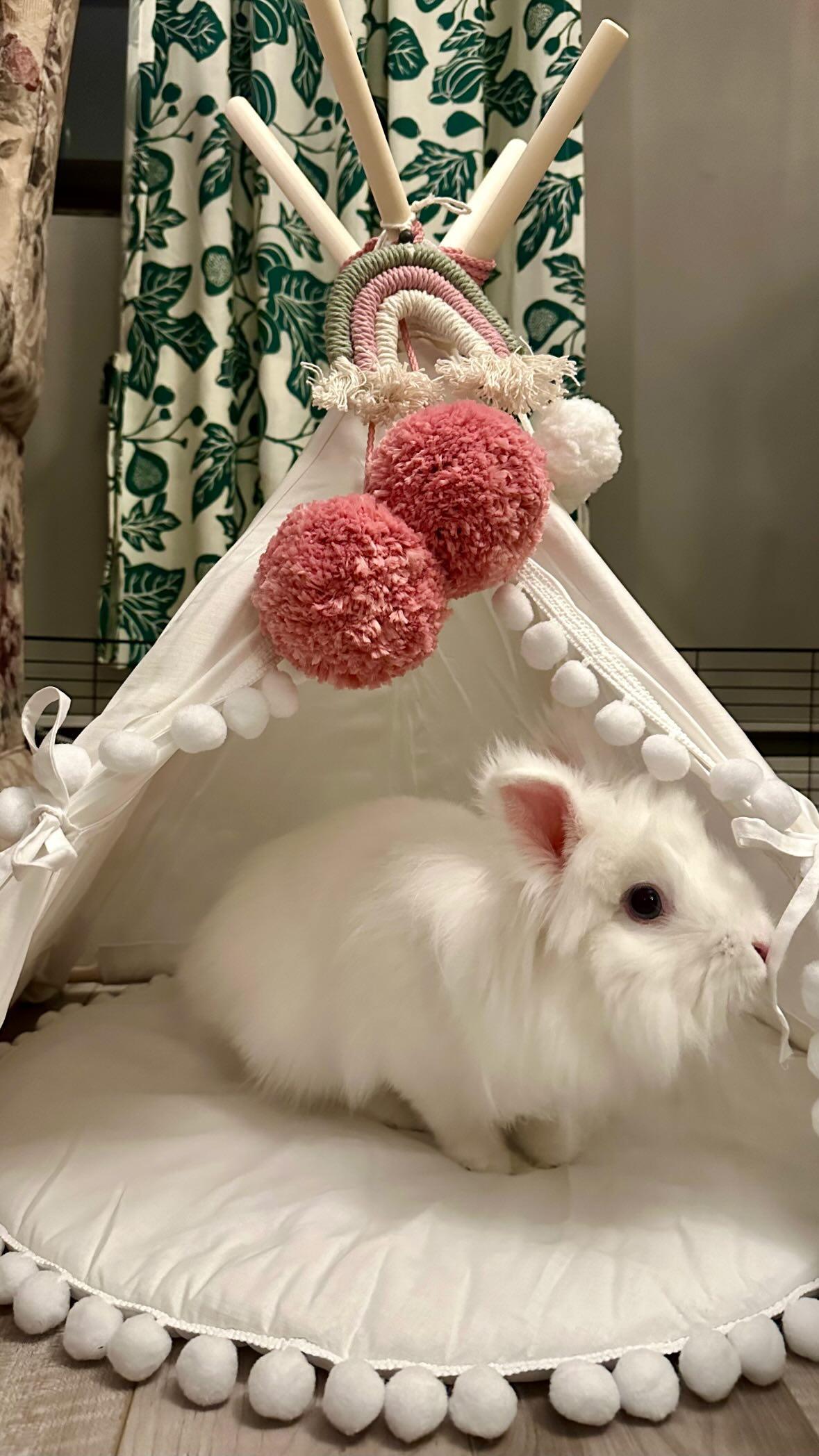 rabbit tent MINICAMP Rabbit Teepee, Bunny Bed in White with Pompoms – Size XS