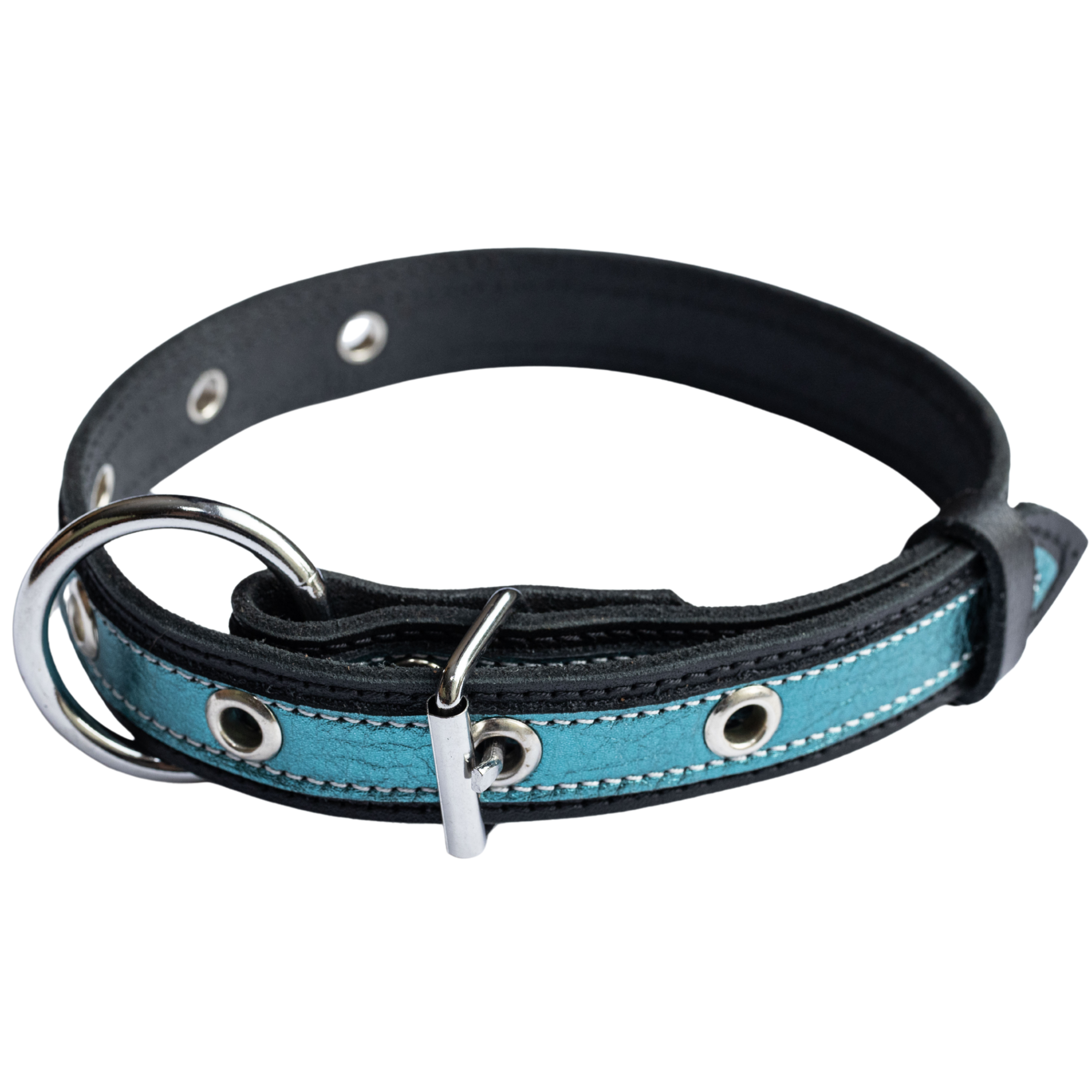 Genuine Leather Dog Collar in Teal and Black